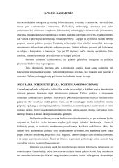 Demokratija ir internetas: naujos galimybės ir grėsmės 4 puslapis