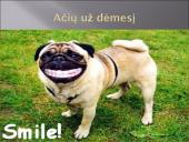 Telegrafo ryšys 9 puslapis