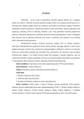 Tarptautiniai teisės aktai reglamentuojantys PVM 2 puslapis