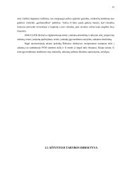 Tarptautiniai teisės aktai reglamentuojantys PVM 13 puslapis