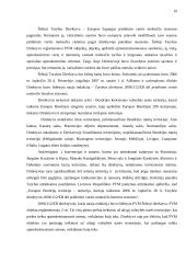 Tarptautiniai teisės aktai reglamentuojantys PVM 10 puslapis