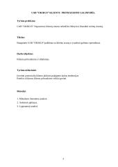 UAB “Okikus” klientų pritraukimo galimybės 3 puslapis