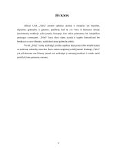 Tele2 SSGG analizė 6 puslapis