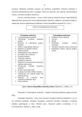 Tiesioginiai mokesčiai Lietuvoje 12 puslapis