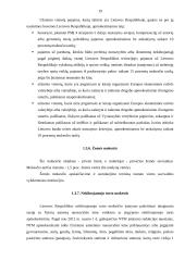 Tiesioginiai mokesčiai Lietuvoje 19 puslapis