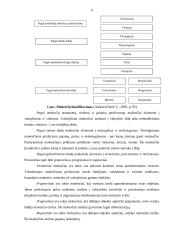 Tiesioginiai mokesčiai Lietuvoje 6 puslapis