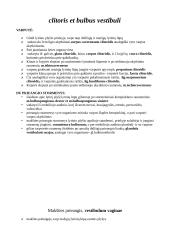 Išoriniai moters lyties organai 2 puslapis