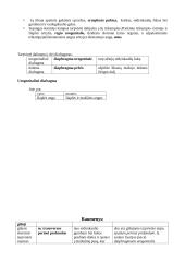 Išoriniai moters lyties organai 4 puslapis