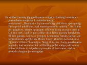Leonardas da Vinčis skaidrės 16 puslapis