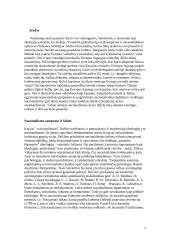 Nacionalizmas referatas 2 puslapis