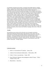 Nacionalizmas referatas 13 puslapis