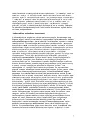 Nacionalizmas referatas 5 puslapis