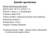 Verslo planas. Dailės galerija ,,Pas Neringą‘‘  2 puslapis