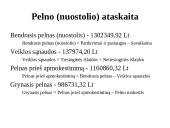 Verslo planas. Dailės galerija ,,Pas Neringą‘‘  13 puslapis