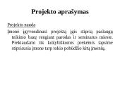 Verslo planas. Dailės galerija ,,Pas Neringą‘‘  7 puslapis