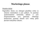 Verslo planas. Dailės galerija ,,Pas Neringą‘‘  8 puslapis