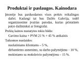 Verslo planas. Dailės galerija ,,Pas Neringą‘‘  9 puslapis