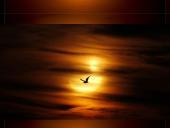 Saulės ir Mėnulio užtemimas 9 puslapis