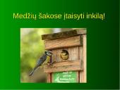 Žemės diena pristatymas 11 puslapis