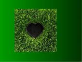 Žemės diena pristatymas 3 puslapis