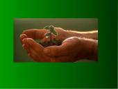 Žemės diena pristatymas 7 puslapis