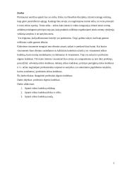 Profesinio elgesio kodeksai. Teisės etikos rašto darbas 3 puslapis