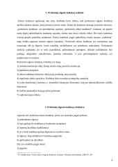 Profesinio elgesio kodeksai. Teisės etikos rašto darbas 4 puslapis