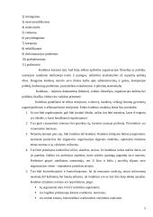 Profesinio elgesio kodeksai. Teisės etikos rašto darbas 5 puslapis