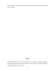 Referendumas. Konstitucinės teisės rašto darbas 11 puslapis