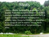 Lietuvos medžiai 2 puslapis