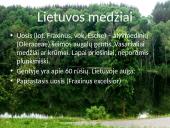 Lietuvos medžiai 12 puslapis
