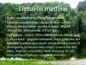 Lietuvos medžiai 14 puslapis