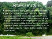 Lietuvos medžiai 16 puslapis
