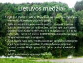 Lietuvos medžiai 18 puslapis