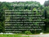 Lietuvos medžiai 20 puslapis