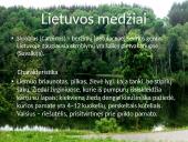 Lietuvos medžiai 4 puslapis