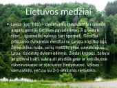 Lietuvos medžiai 6 puslapis