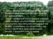 Lietuvos medžiai 8 puslapis