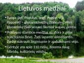 Lietuvos medžiai 10 puslapis