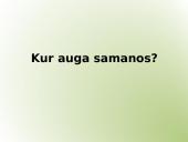 Indų neturintys augalai 8 puslapis