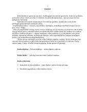 Etinis kodeksas – etinio elgesio vadovas 2 puslapis