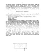 Etinis kodeksas – etinio elgesio vadovas 5 puslapis