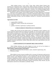 Etinis kodeksas – etinio elgesio vadovas 7 puslapis