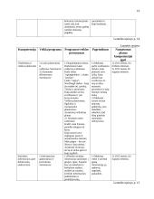 Socialinio pedagogo kompetencijų ugdymo projektas 16 puslapis