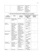 Socialinio pedagogo kompetencijų ugdymo projektas 18 puslapis