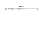 Socialinio pedagogo kompetencijų ugdymo projektas 4 puslapis