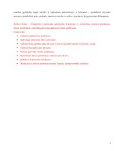 Įvaikinimo etinės problemos 4 puslapis