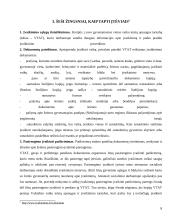 Įvaikinimo etinės problemos 8 puslapis