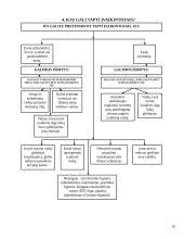 Įvaikinimo etinės problemos 10 puslapis