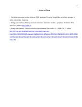 Europinis projektas socialinei atskirčiai mažinti; Socialinė atskirtis ir nedarbas 17 puslapis